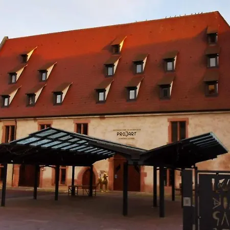 Appartement Le Rhenanus Ludwig Dringenberg - Au Calme - Centre - Parking Gratuit *