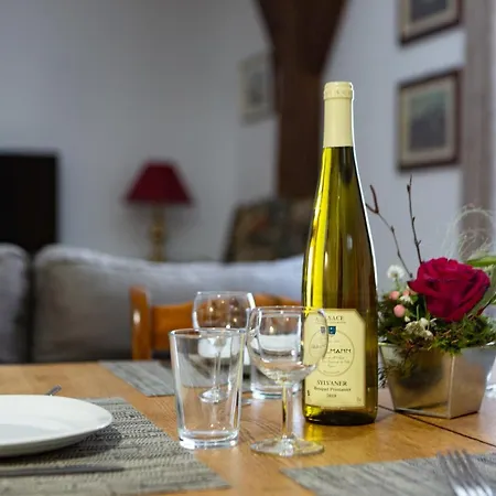 아파트 Ludwig Dringenberg - Parking Gratuit - Proche Europa-park - Route Des Vins - Haut-koenigsbourg 셀레스탓