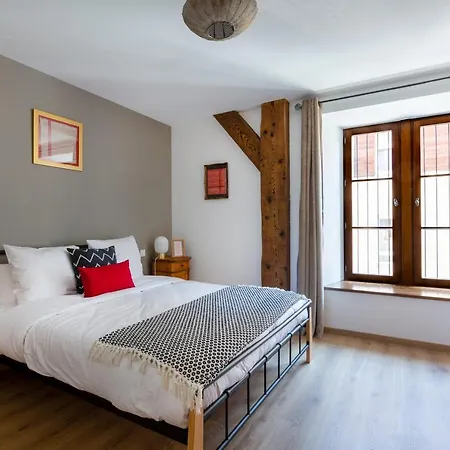 Appartement Le Rhenanus Ludwig Dringenberg - Au Calme - Centre - Parking Gratuit Sélestat