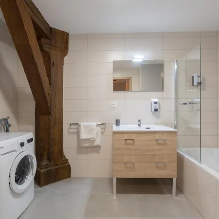 Le Rhenanus Ludwig Dringenberg - Au Calme - Centre - Parking Gratuit Appartement *