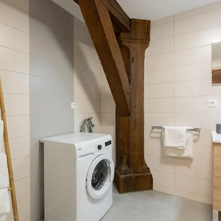 Le Rhenanus Ludwig Dringenberg - Au Calme - Centre - Parking Gratuit *