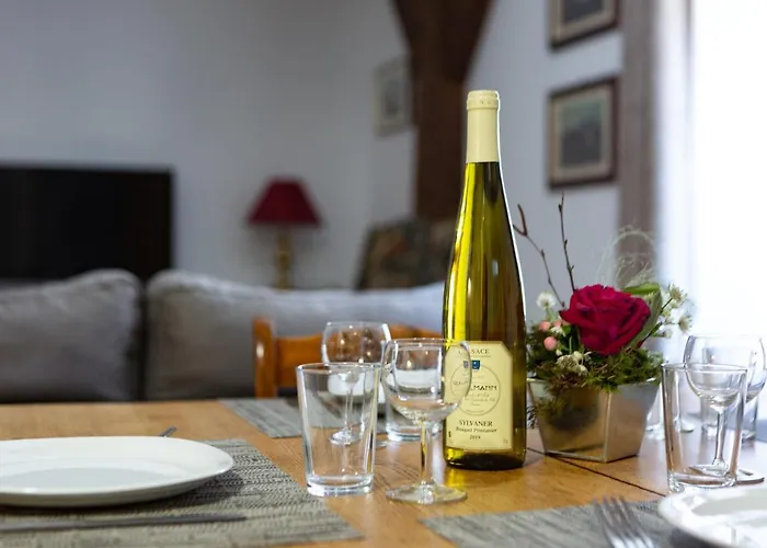 Daire Ludwig Dringenberg Selestat - Parking Gratuit - Proche Europa-Park - Route Des Vins - Haut-Koenigsbourg Sélestat